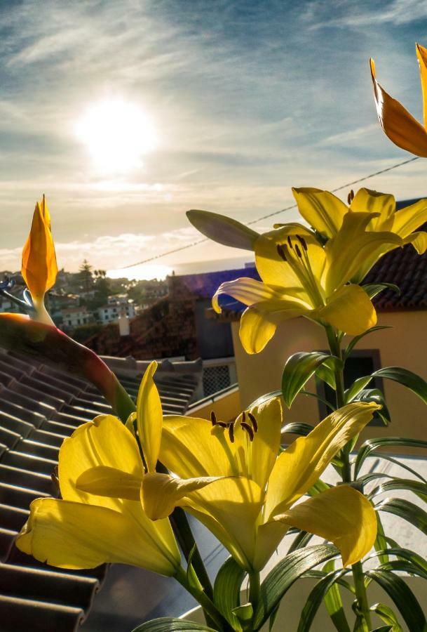 Little Townhouse Holiday home Funchal (Madeira)